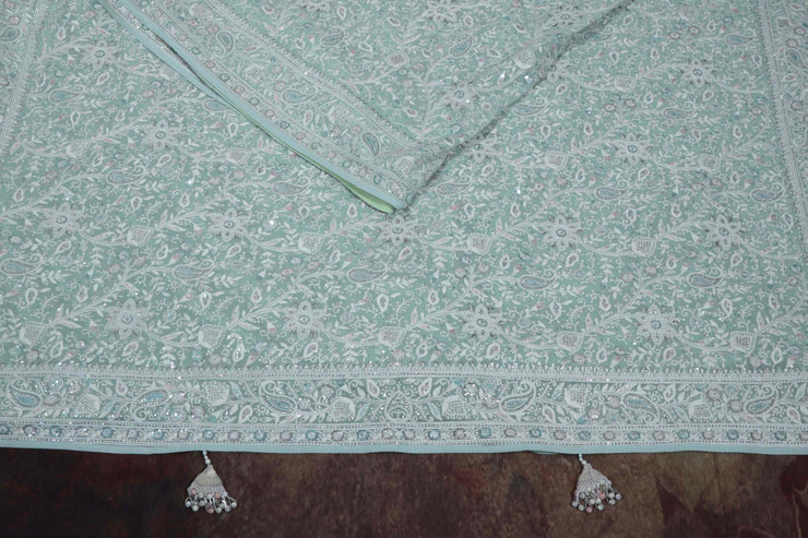 Pastel green Chikankari saree with sequins work, stitched blouse