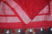 Brick red pure tussar silk handloom saree with silver zari, stitched blouse