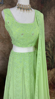 Pista green chikankari lehanga with sequins work