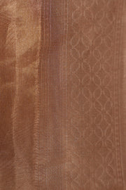 Pure Peach organza tissue silk saree with stitched blouse