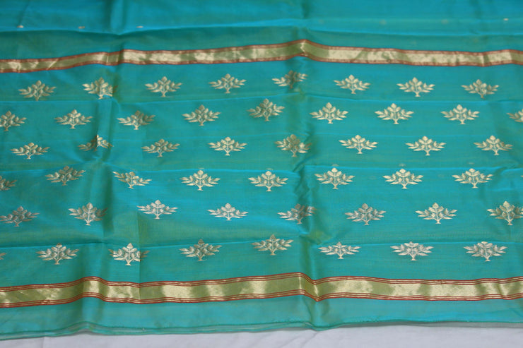 Light green double shaded pure handloom chanderi silk saree with stitched blouse