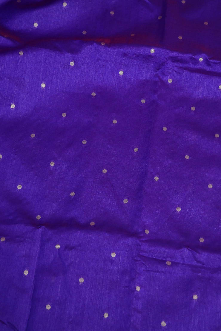 Semi tussar silk saree with Paithani weave, with stitched blouse