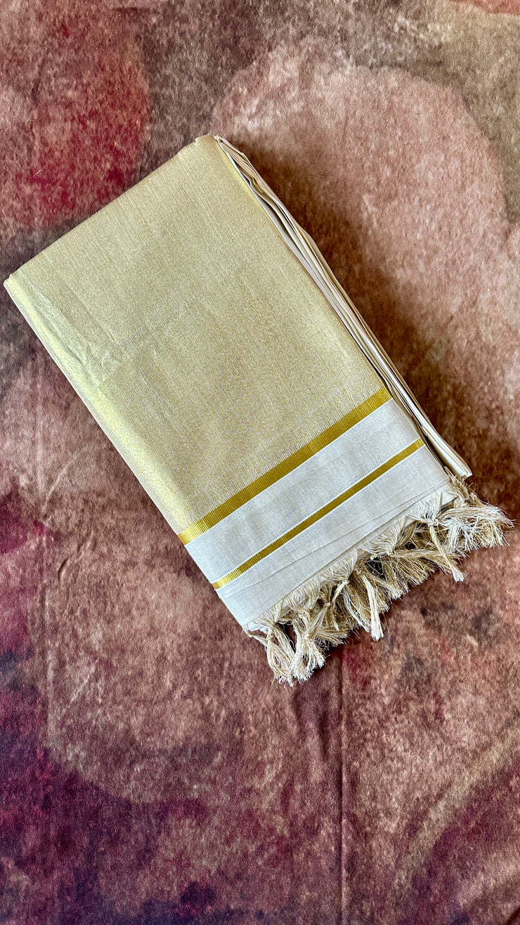 Cotton tissue saree with skirt border