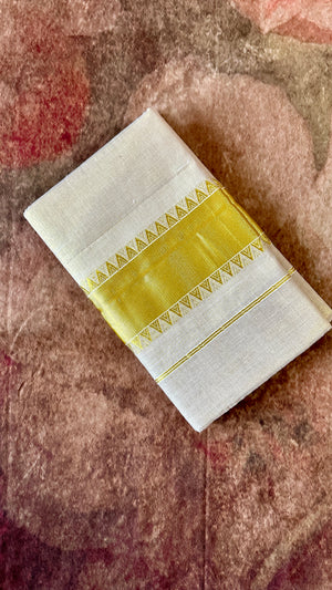 Gold tissue set saree with small temple border