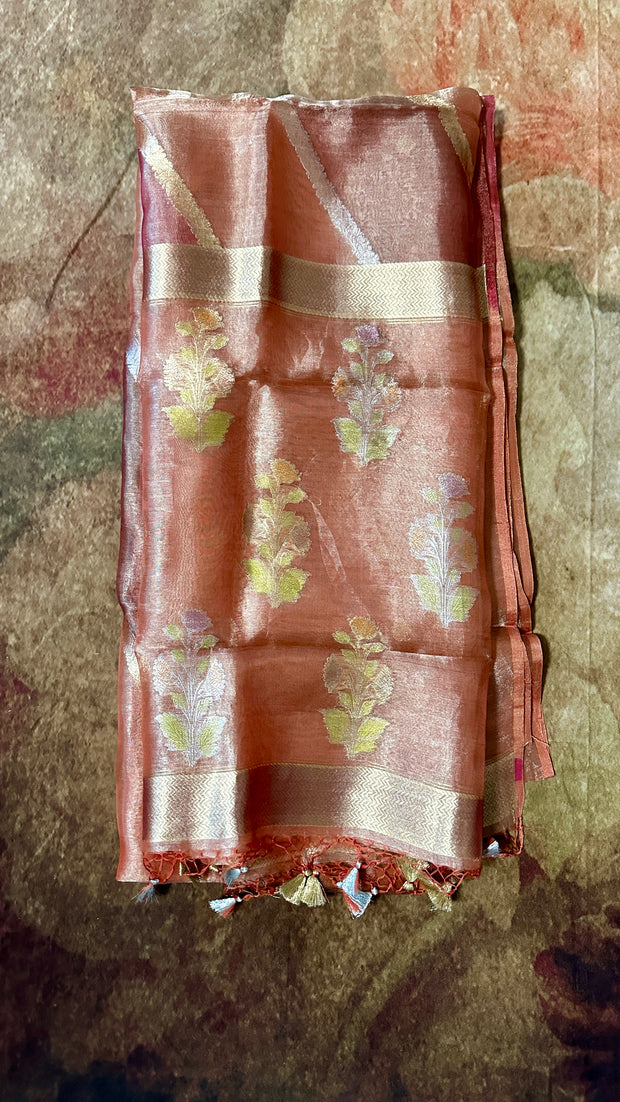 Rangkat pure organza tissue silk saree with stitched blouse