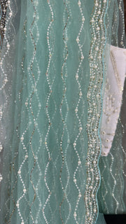 Light turquoise Designer net saree with designer blouse