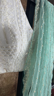 Light turquoise Designer net saree with designer blouse