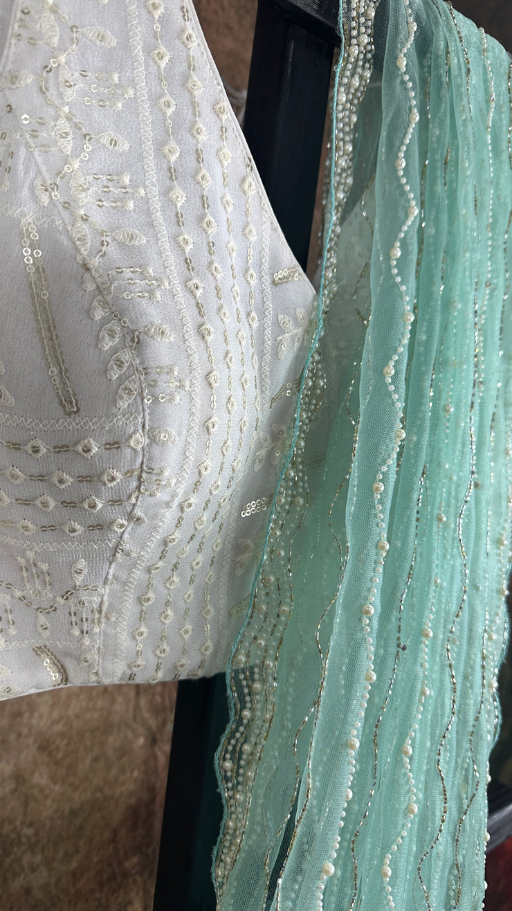 Light turquoise Designer net saree with designer blouse