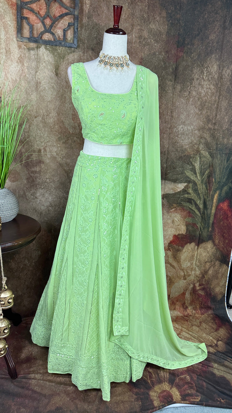 Pista green chikankari lehanga with sequins work