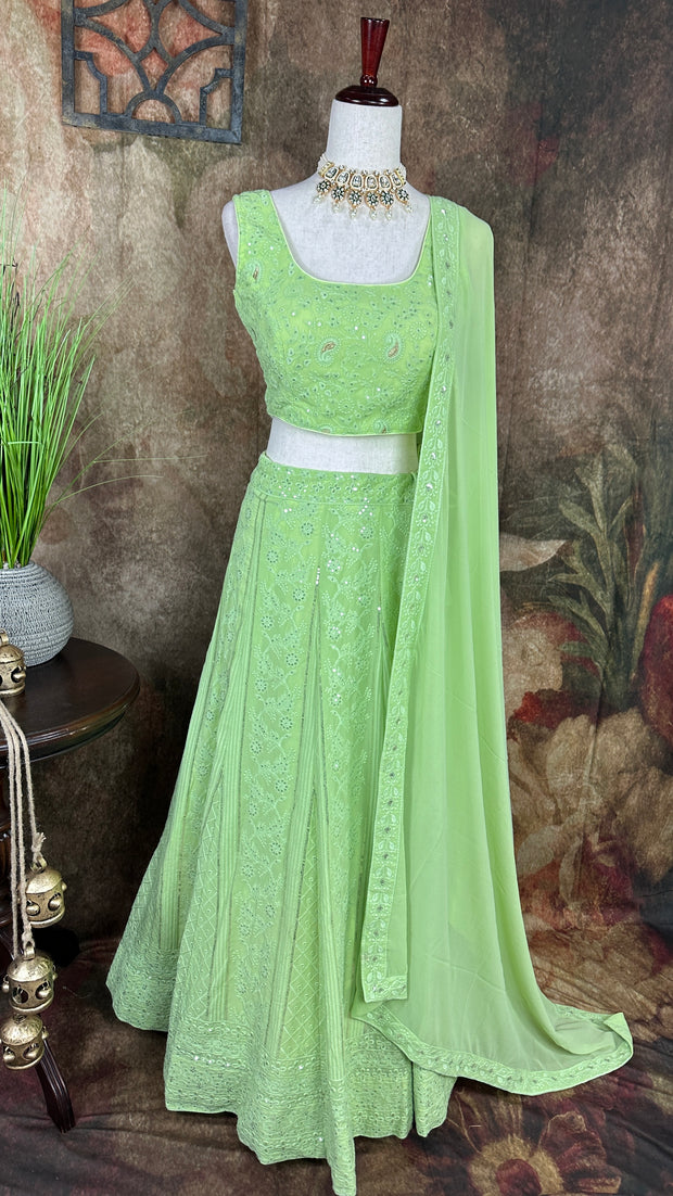 Pista green chikankari lehanga with sequins work